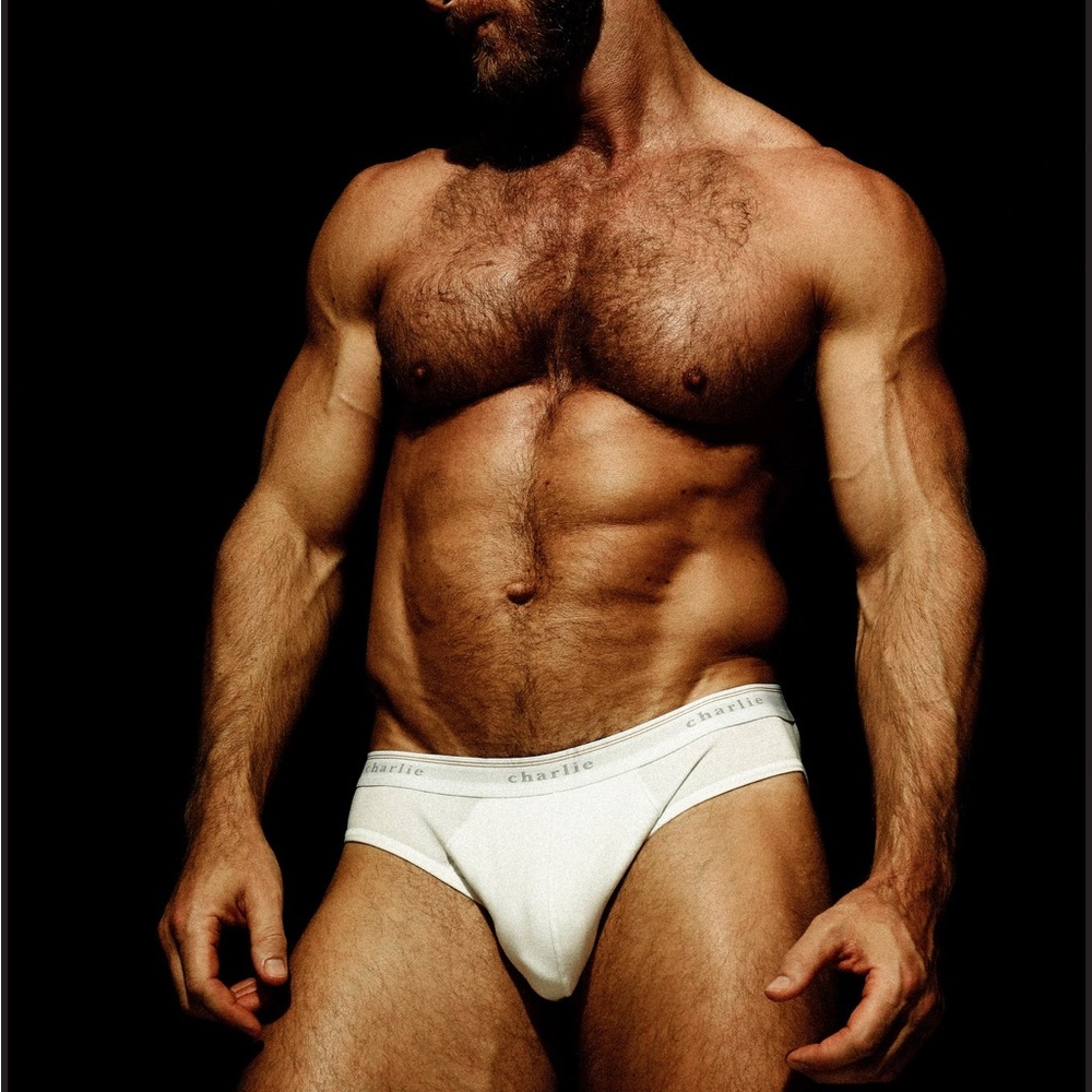 Charlie by Matthew Zink White Logo Brief.  Size M.  NWT